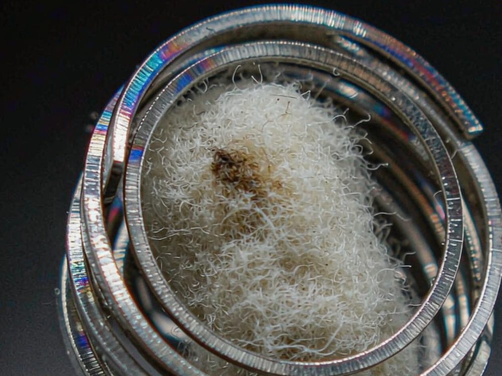 Case Study: IQOS coils — verified suppliers