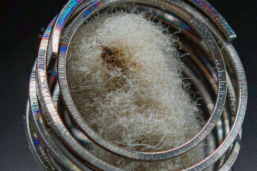Checklist for IQOS coils — Winter special