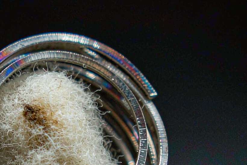 FAQ on IQOS coils — Asia Pacific