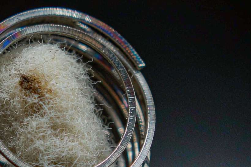 FAQ on IQOS coils — OEM available