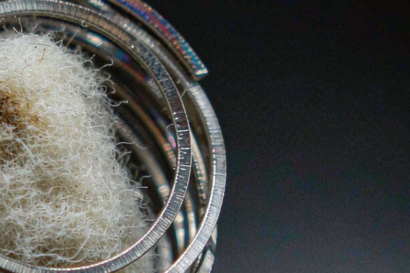 Glossary of IQOS coils — Winter special