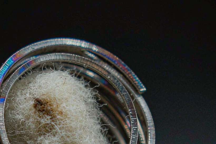Glossary of IQOS e-liquid — Autumn stock