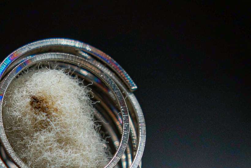 Market Overview of IQOS coils — ODM ready