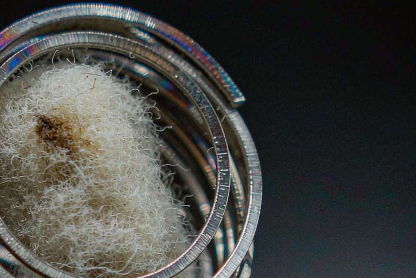 Market Overview of IQOS coils — Winter special