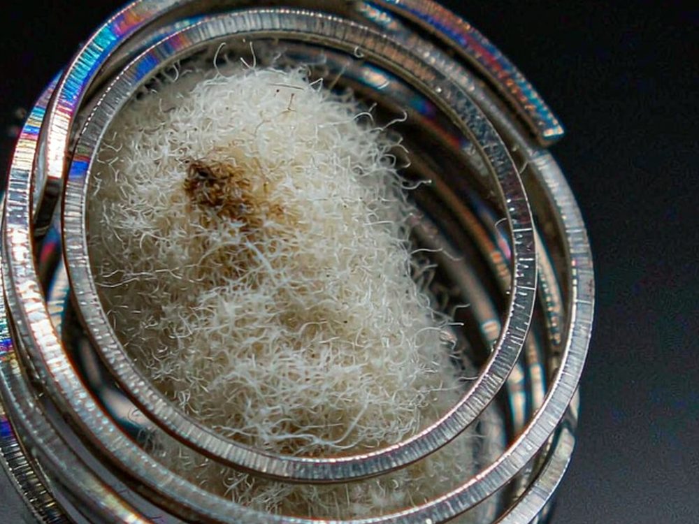 Restocking IQOS accessories — with fast shipping