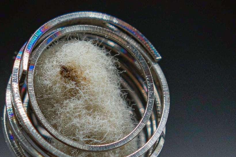 Top Picks of IQOS coils — Winter special