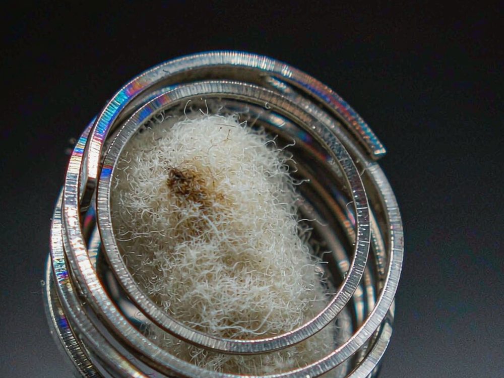 Top Picks of IQOS e-liquid — top rated