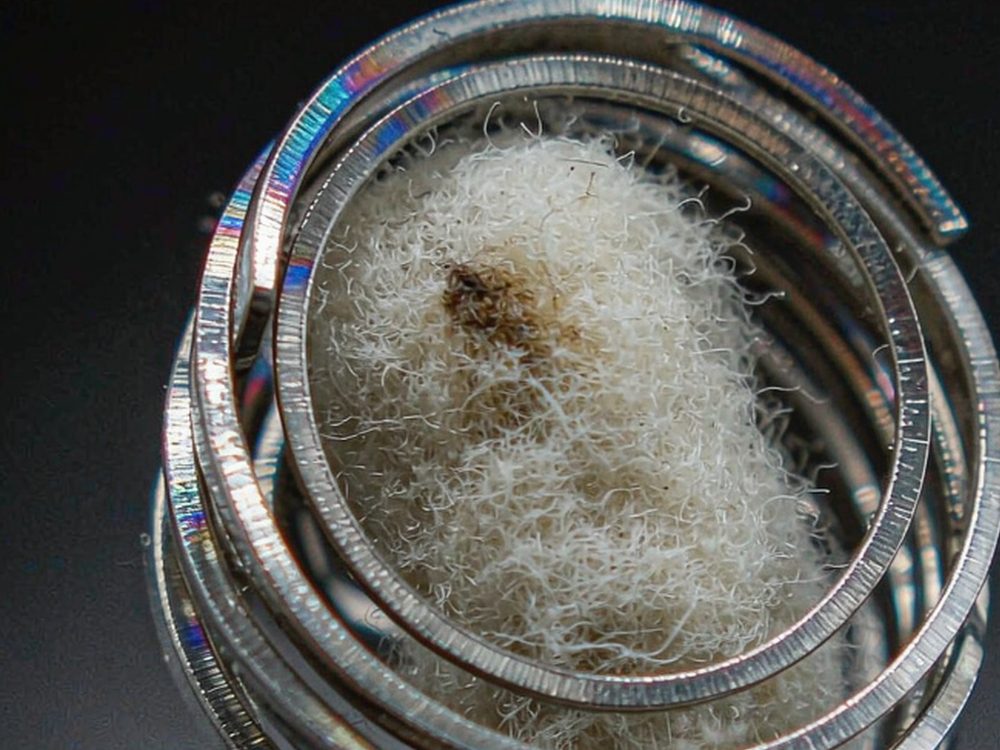 Warranty Notes for IQOS coils — top rated